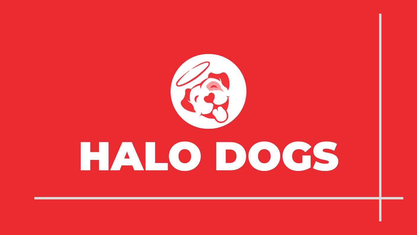 halo-dogs